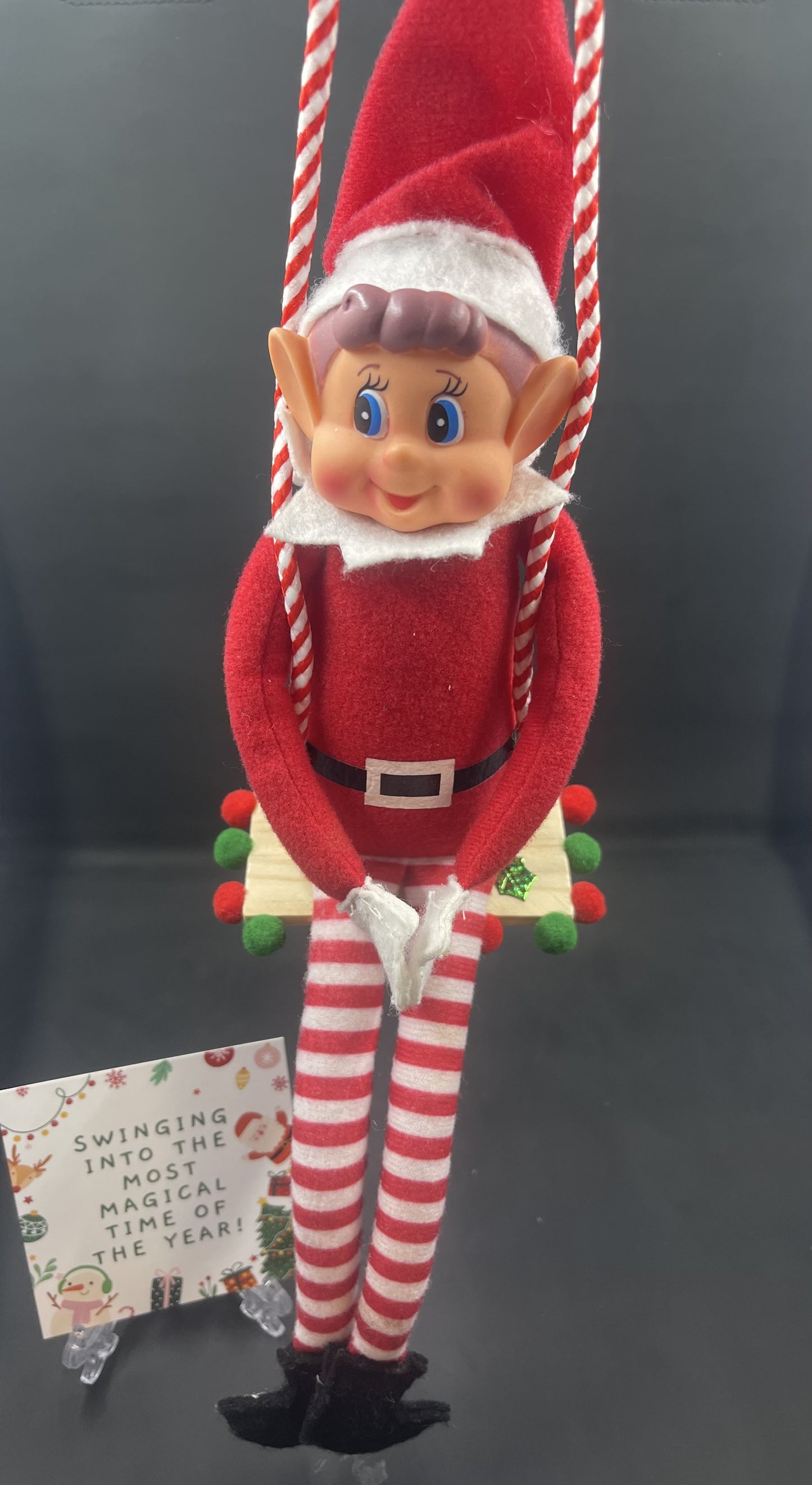24 Day Elf Excursion Box