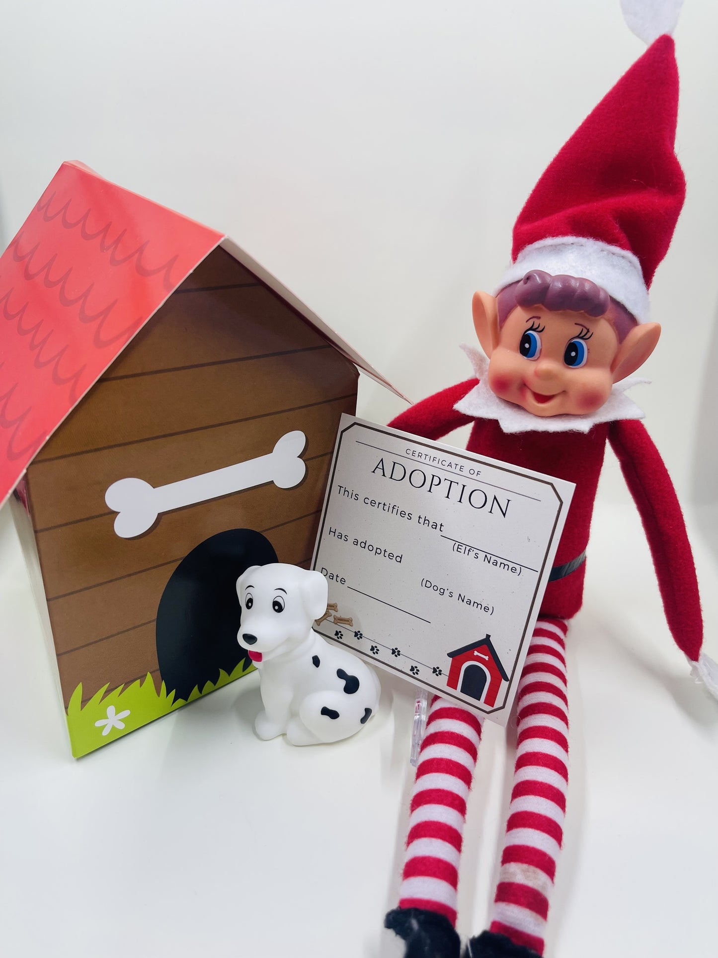 24 Day Elf Excursion Box