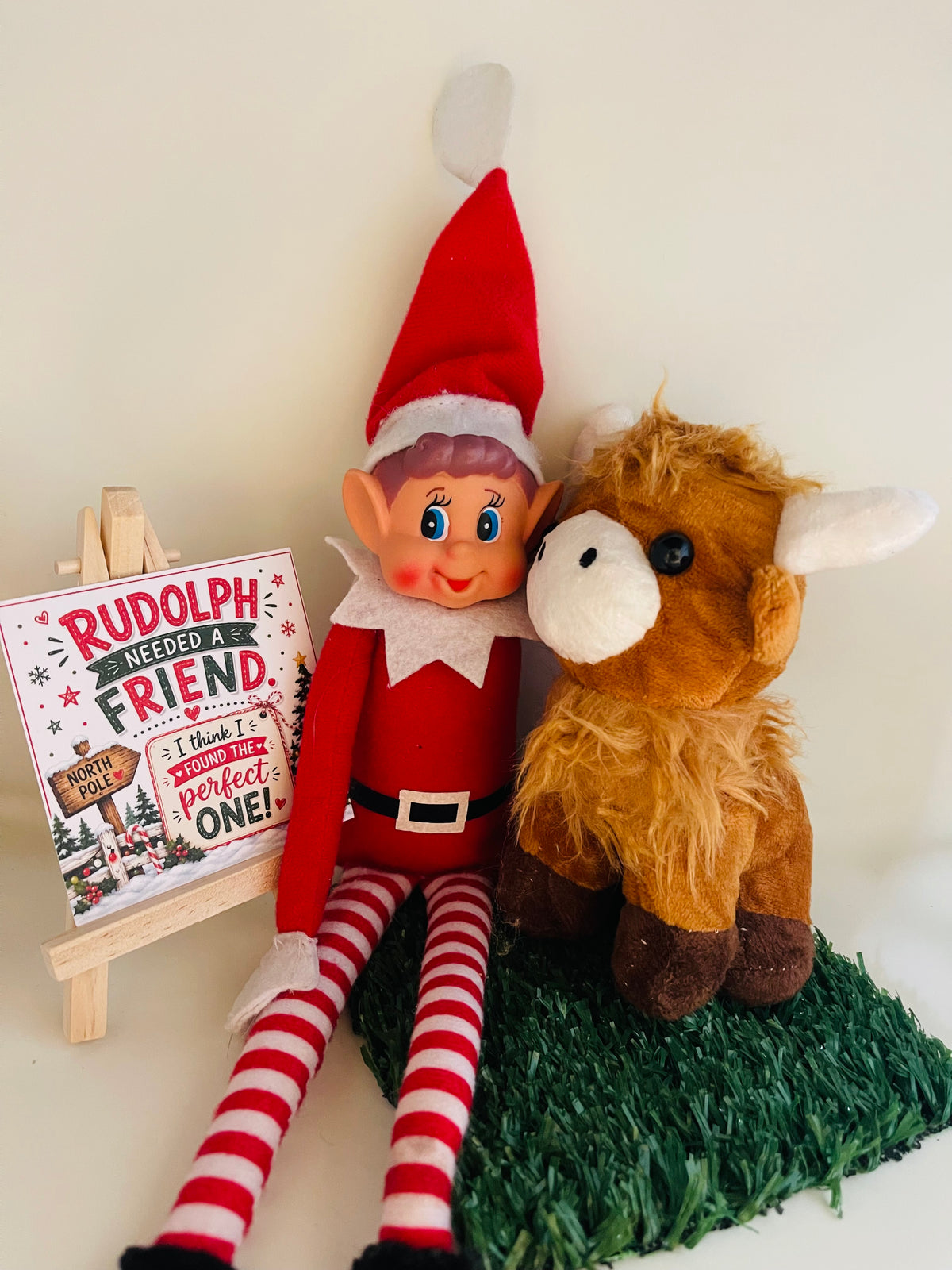 New 24 Day Elf Excursion Box 2026