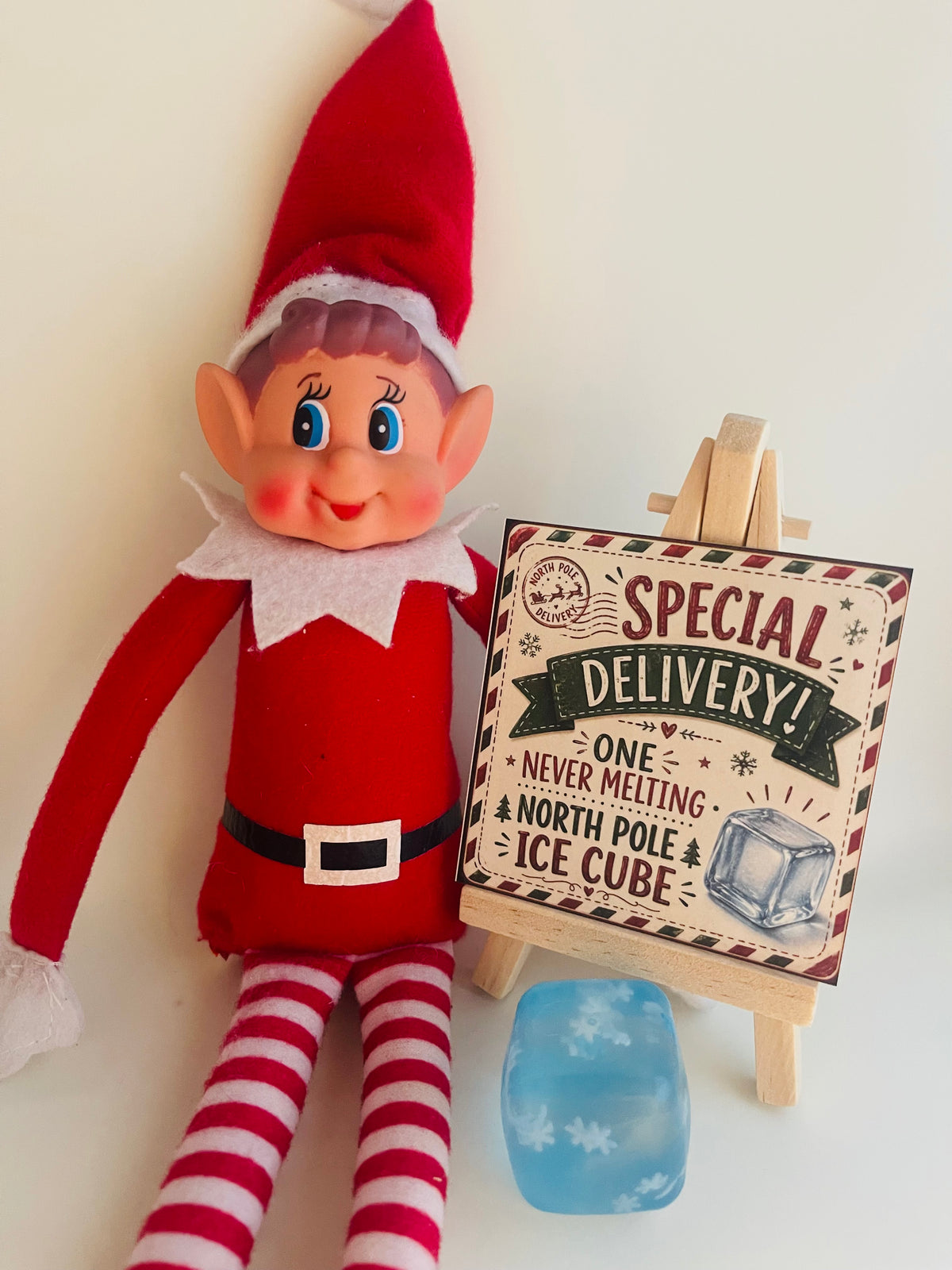 New 24 Day Elf Excursion Box 2026