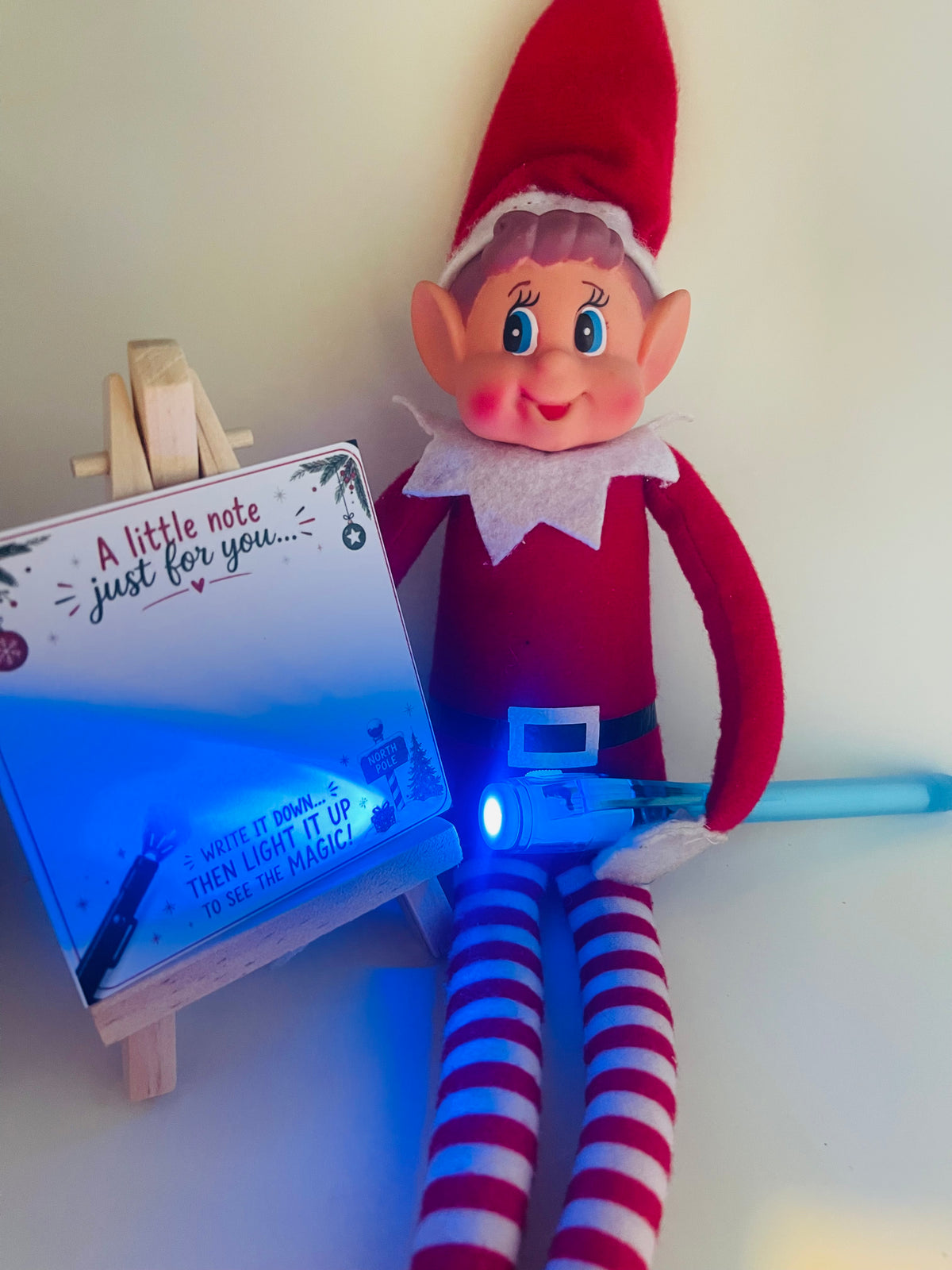 New 24 Day Elf Excursion Box 2026